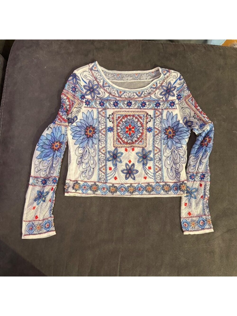 Zara Embroidered Sheer Long-Sleeve Top - Multicolor - Size S